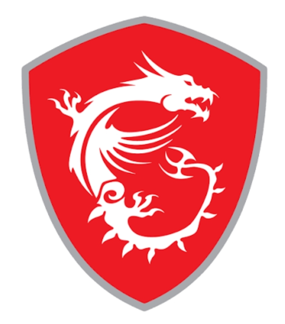 MSI